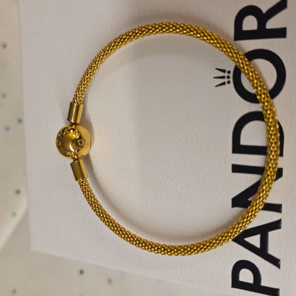 Pandora Shine Mesh Bracelet - Picture 3 of 6